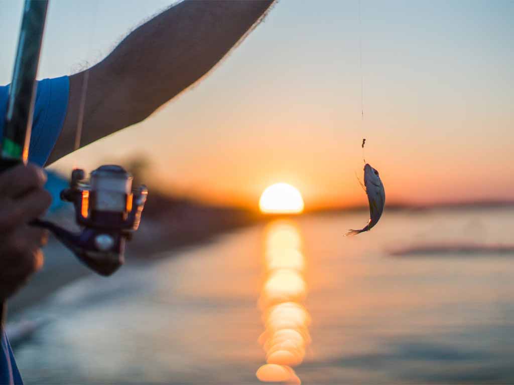 Low Deep Sea Fishing Tour in Mirissa