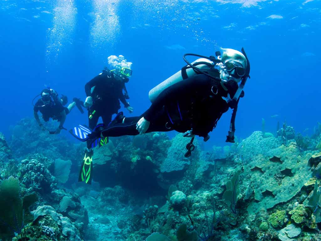 Best Scuba Diving In Mirissa